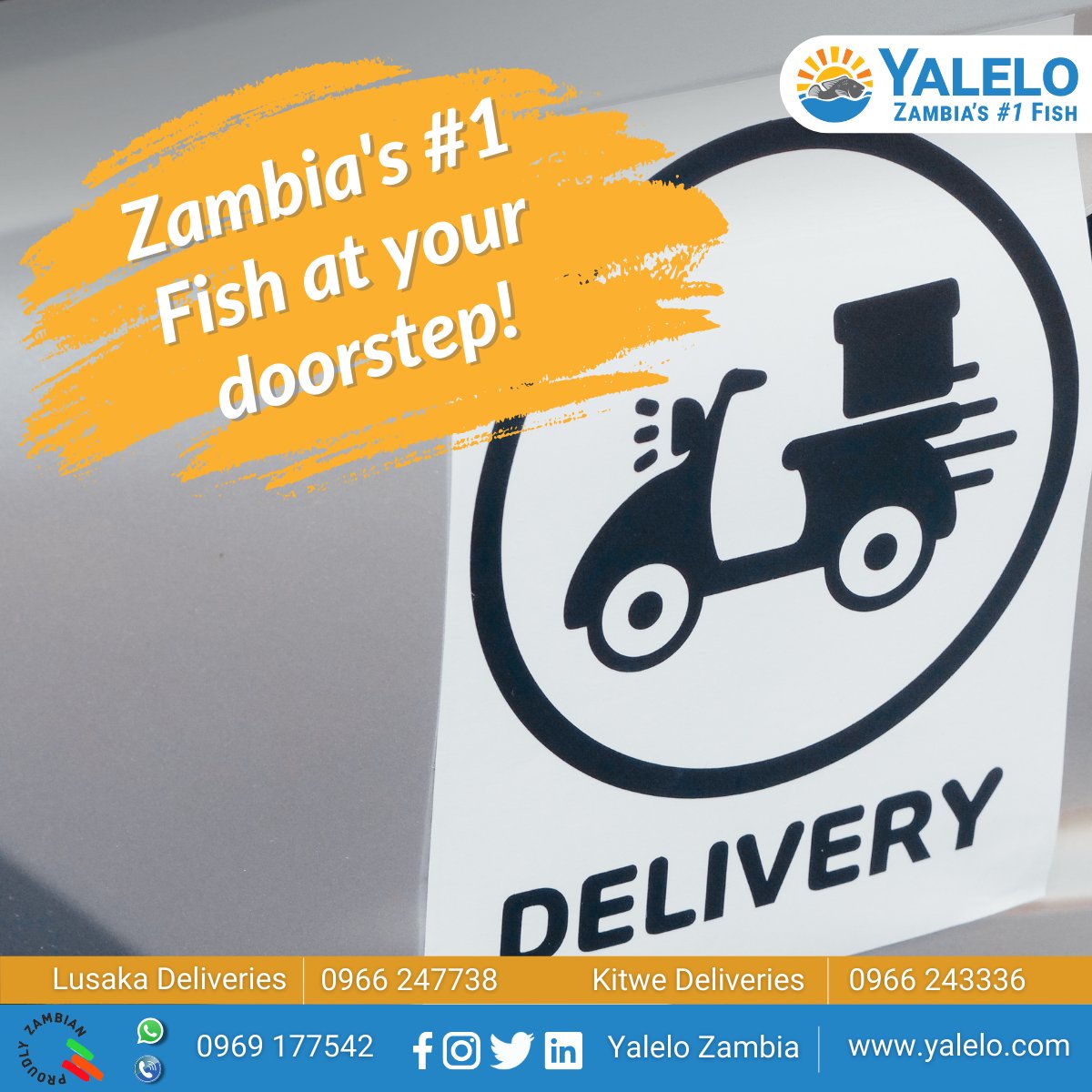 YaleloZambia's tweet photo. Did you hear the good news? We now deliver fish right to your door! 🛵🐟💃Call/SMS/WhatsApp 0966247738 (Lusaka) and 0966243336 (Kitwe) to place your orders for your home or business. 
T&amp;Cs apply.
#NsombaYalelo #ZambiasNoFish #FishDelivery #ProudlyZambian https://t.co/3MMB3P5DXk