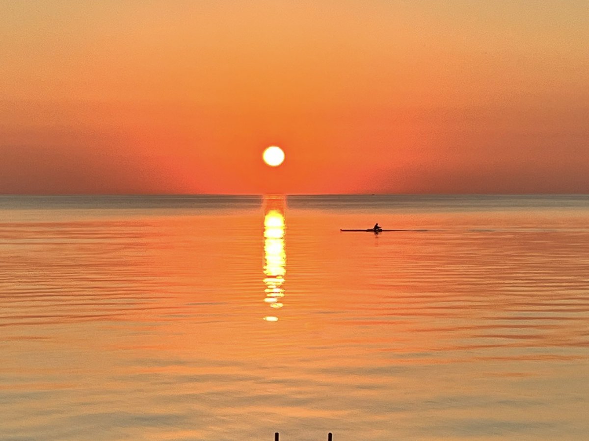 Dina Kwit tweet media