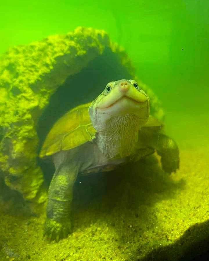 Vale la pena cuidar el planeta para poder seguir viendo caritas así.