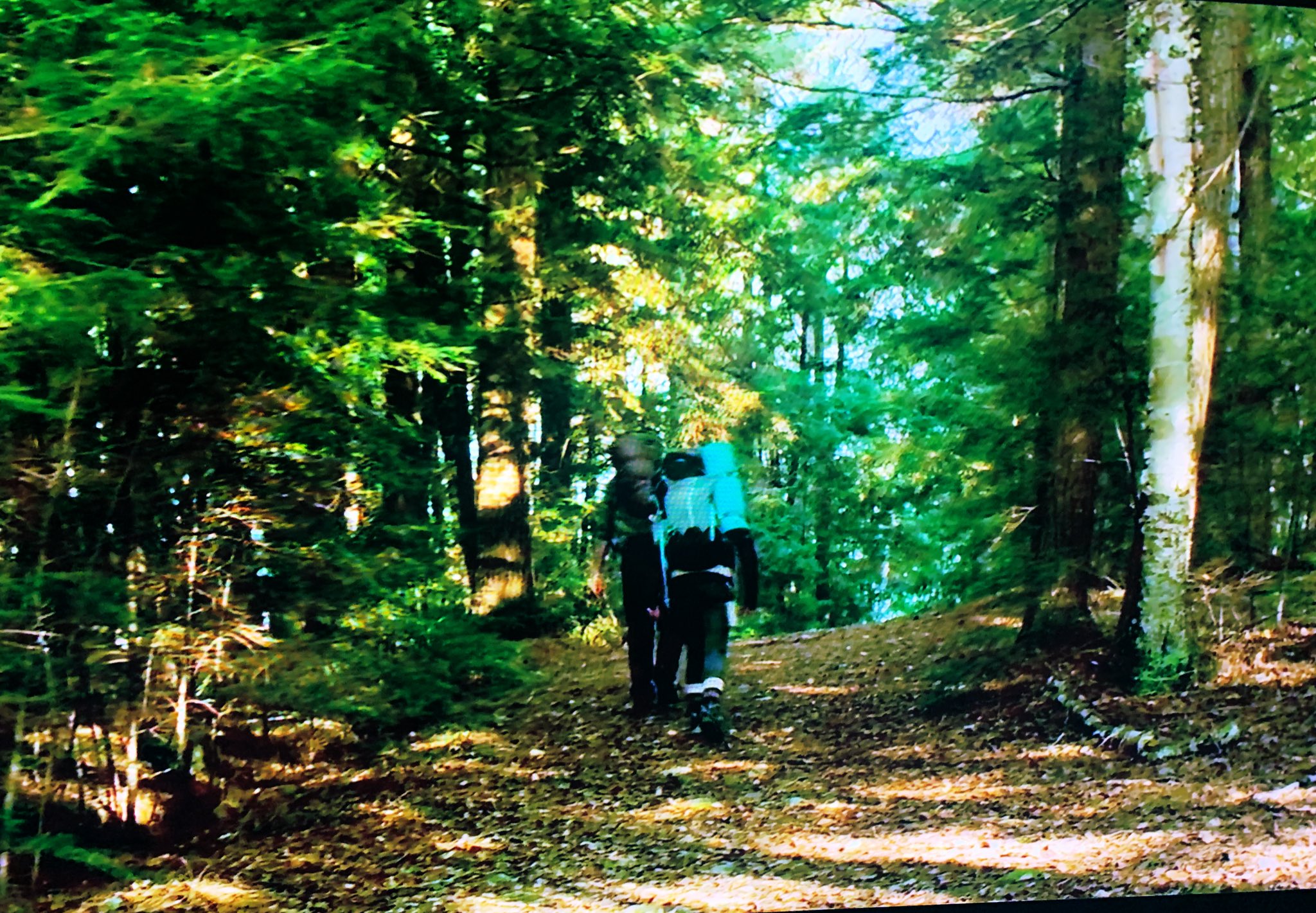 ブラックフット Twitter Search Twitter