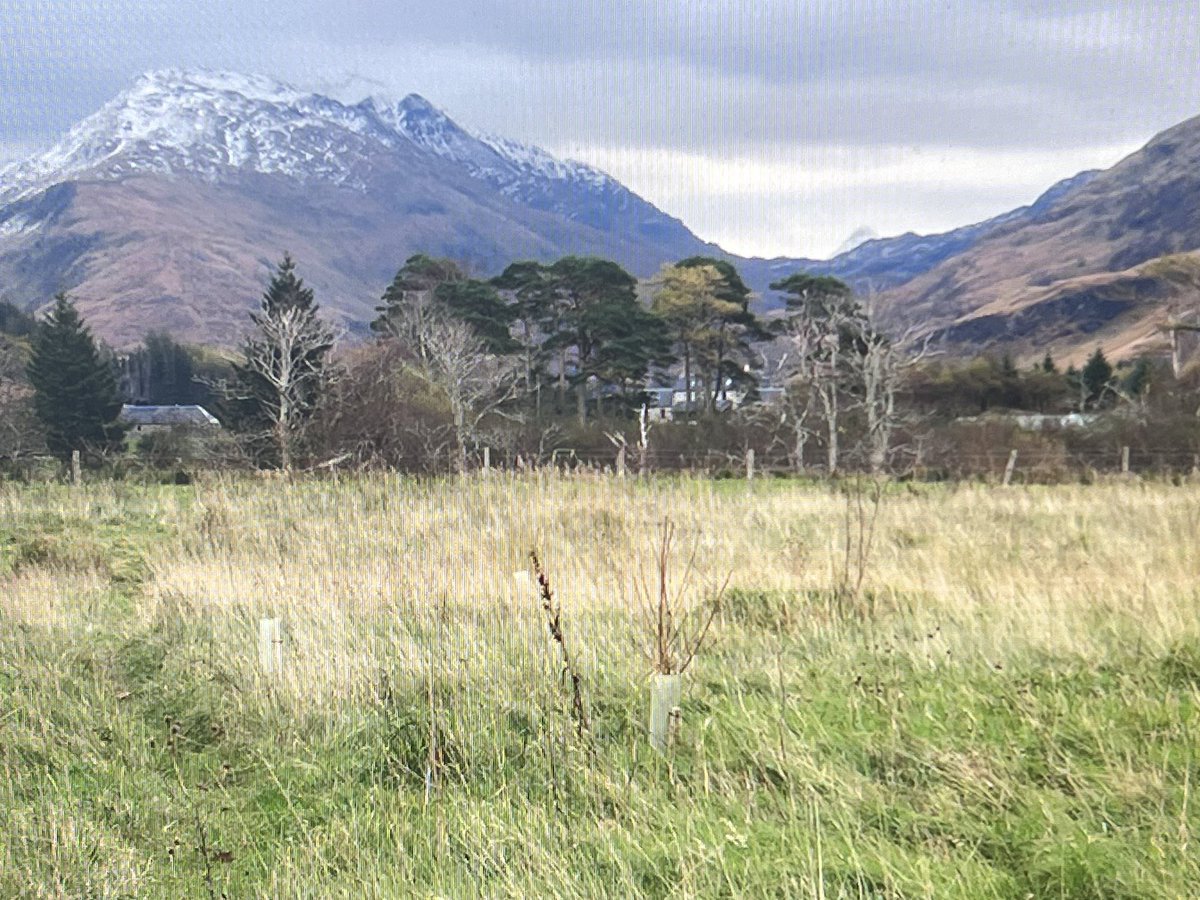 checkmate.uk.com tweet media