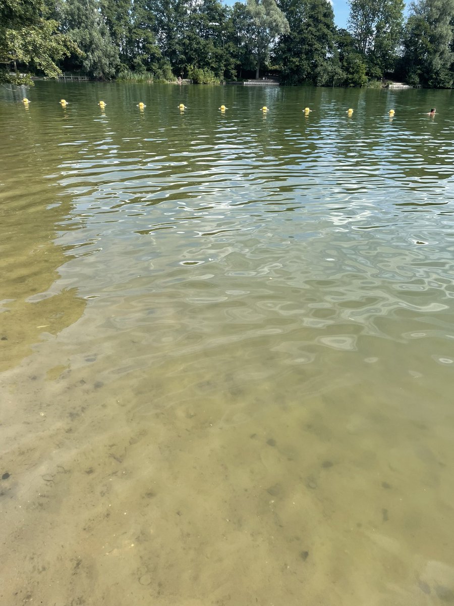 football_va1's tweet photo. Dit water. Heerlijk helder, lekker groenige kleur. Love it. #breuly #zevenaar #vitessezwembroek https://t.co/ro1pfYk0P9