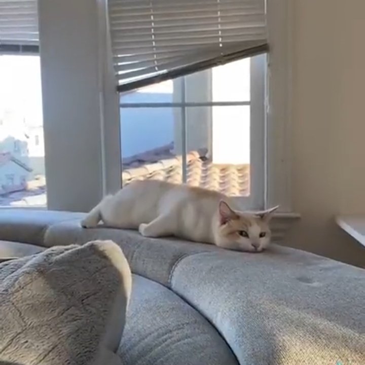 30-Something and still struggling tweet media