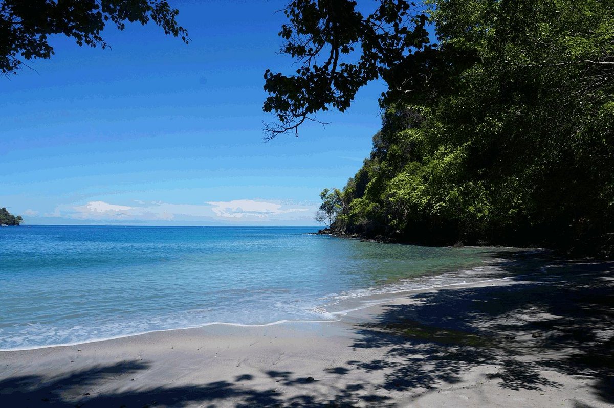 TheWorldsBestH1's tweet photo. The Top 25 Hotels In The World - From The Tripadvisor 2022 Travellers Choice Ratings: 1. Tulemar Bungalows &amp; Villas, Manuel Antonio, Costa Rica https://t.co/PFptvkee64 #tulemarbungalows #manuelantonio #CostaRica #hotels #travel #theworldsbesthotels #Tripadvisor https://t.co/XufNmIHHRk