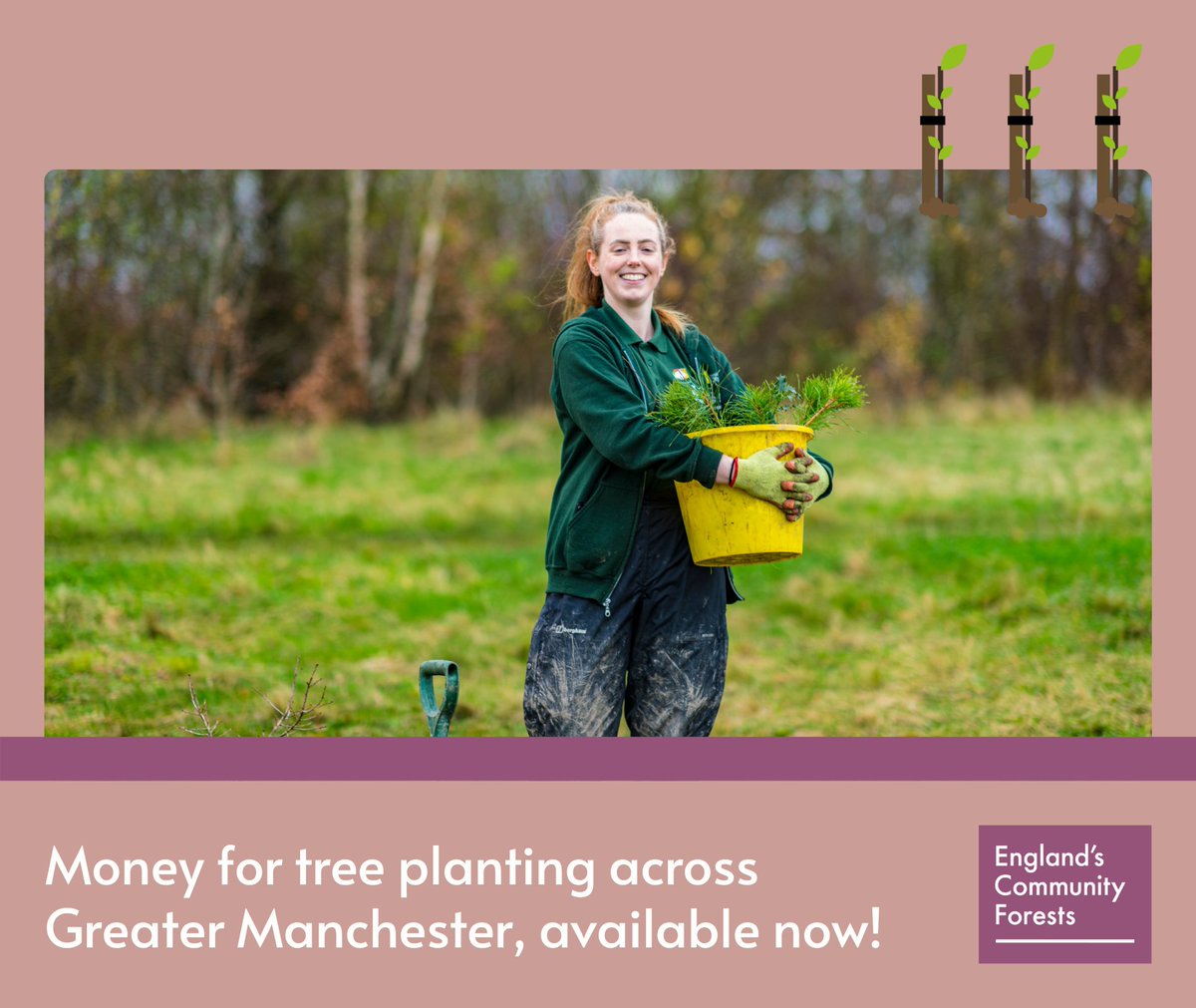 CityofTreesMcr's tweet image. Did you know... Our grants cover up to 100% of the cost of tree planting, including guards and stakes? With up to 15yr of maintenance payments too, we offer one of the best woodland creation grants available today. Get in touch here - team@cityoftrees.org.uk
