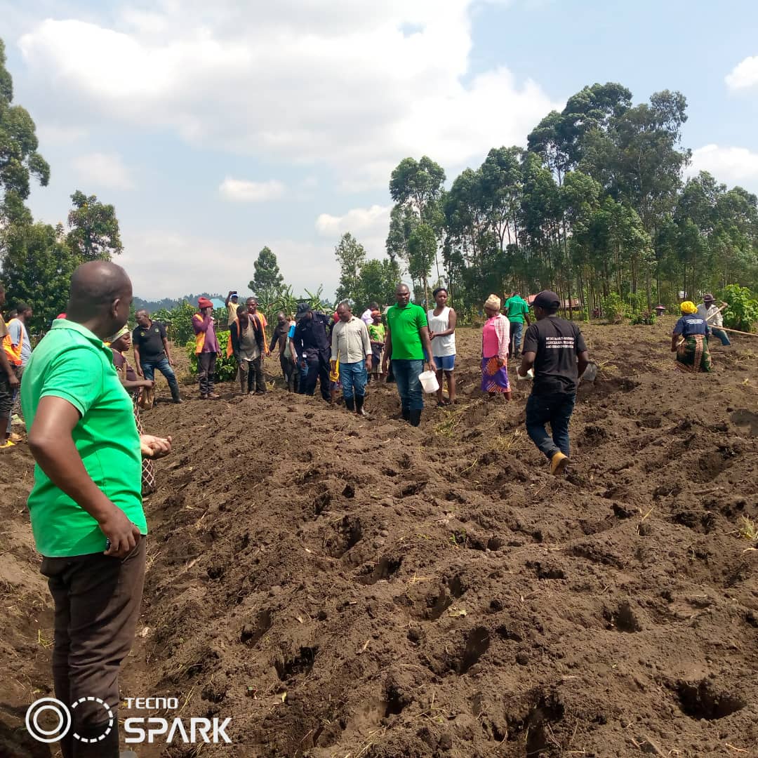 AGRIRESEARCHLtd's tweet photo. Uyumunsi,mu Akarere ka @MusanzeDistrict, Umurenge wa Muko site ya musenyi,@AGRIRESEARCHLtd yifatanyije n'Akarere mu gutangiza igihembwe cy'ihinga 23A haterwa imbuto y'ibigori(WH 605) 
#IgihembweCyihinga23A
#Inyongeramusaruro
#Nkunganire. https://t.co/03BubxDa2G