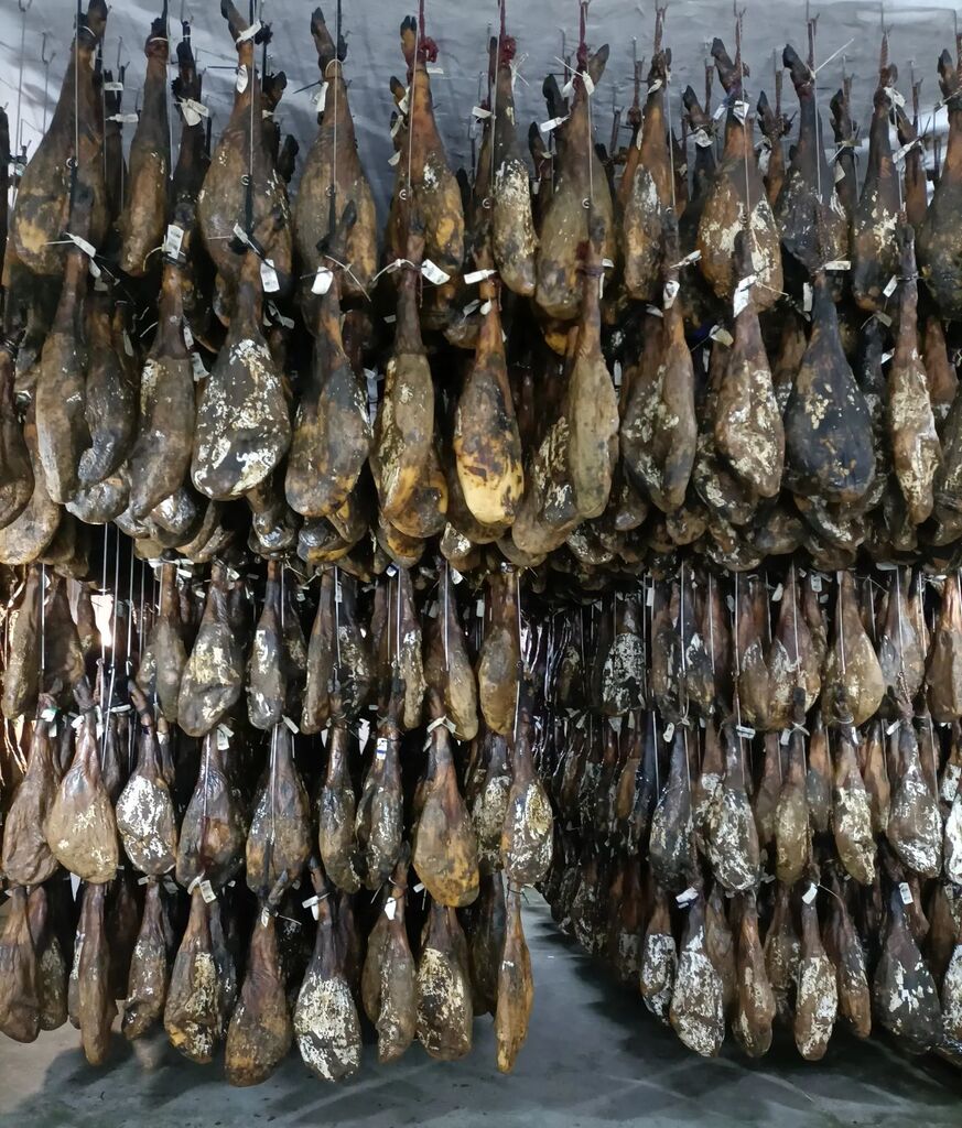 mscibericos's tweet photo. 🤗Ya no podemos pensar en otra cosa...pasado el verano...😍😍

En MSC Ibéricos queremos ofrecerle el mejor producto a nuestros clientes 😉

#preparativos #navidadiscoming #adiosverano #rrssmsc https://t.co/zeE310kddz