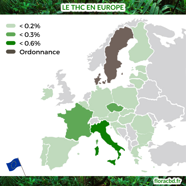 Flora_cbd's tweet photo. Le taux de #THC n'est pas le même pour tout le monde en #Europe🌱
#Cannabis #CBD #THCEurope https://t.co/kQtHre8M9O