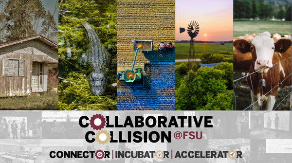 FSU_RD's tweet photo. Registration for Connector: Rural Innovation closes this Friday! Sign up today to help shape the collaborative challenges that are eligible to receive up to $50,000 through Accelerator! @FSUResearch @FSUFaculty #FSUinnovation #CollaborativeCollision https://t.co/2xwPnZisSM https://t.co/u3Ky09o3FQ
