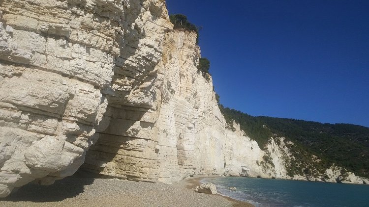SonoitaliaInfo's tweet photo. #Apulien: Im #Parco del #Gargano gibt es viele schöne #Wanderwege. Eine atemberaubende #Wanderung auf dem Sentiero Natura verbindet den Strand von #Vignanotica mit der #Bucht Baia delle #Zagare. 👉https://t.co/81w9gtS0MX @WeAreInPuglia @WeareinGargano @CiaoNico @garganolab2_0 https://t.co/qTd3jbZ71R
