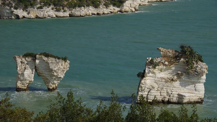SonoitaliaInfo's tweet photo. #Apulien: Im #Parco del #Gargano gibt es viele schöne #Wanderwege. Eine atemberaubende #Wanderung auf dem Sentiero Natura verbindet den Strand von #Vignanotica mit der #Bucht Baia delle #Zagare. 👉https://t.co/81w9gtS0MX @WeAreInPuglia @WeareinGargano @CiaoNico @garganolab2_0 https://t.co/qTd3jbZ71R