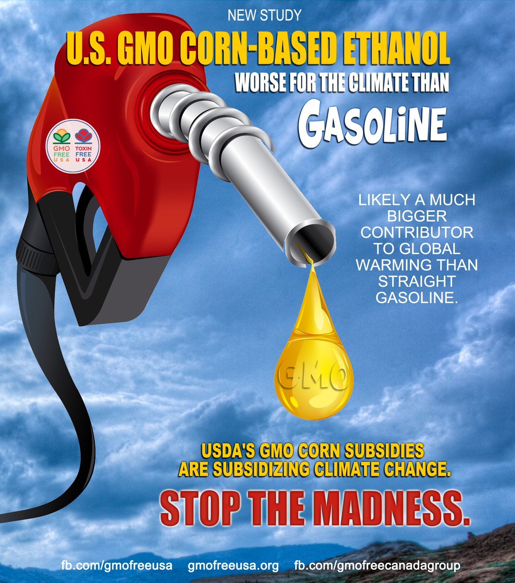 GMOFreeUSA's tweet photo. Corn ethanol is not a climate-friendly fuel. These huge #GMO monoculture farms cause pollution and biodiversity loss with the use of toxic synthetic pesticides and fertilizers. They're also contributing to global warming. https://t.co/70RhRyFljM #farmbill #farmers #climatestupid https://t.co/841gPEDu0J