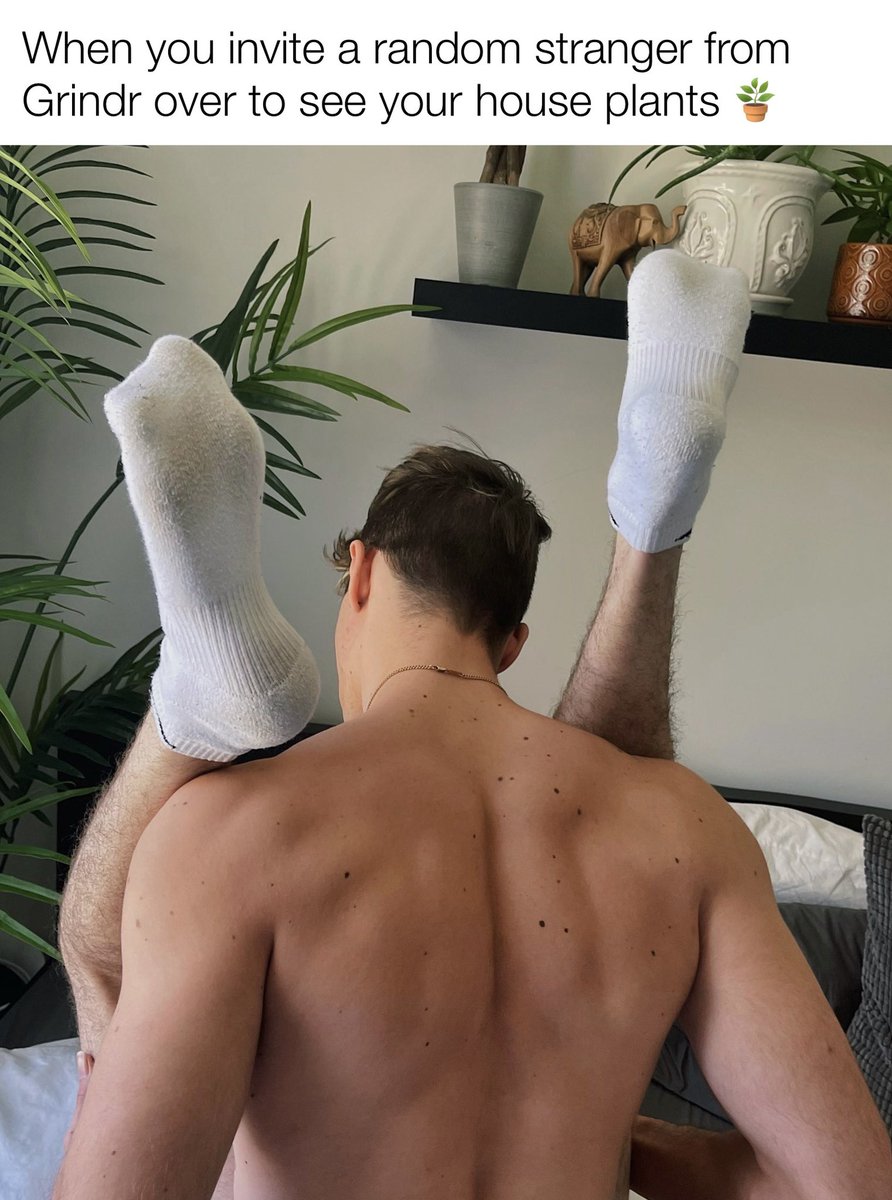 The_Shady_Gay_'s tweet photo. #randomstranger #grindr #grindrguy #home #plants #plantsofinstagram #houseplants #gayplantdad #socks #gayboy #gayboys #gayguy #gayguys #gayman #gaymen #gaylife #gayworld #instagay #gay #gays #gaymeme #gaymemes #shadygay https://t.co/8Gm94s4i9v