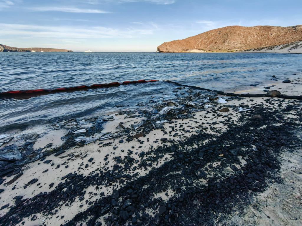 Politica_Basica's tweet photo. El domingo un yate se incendió ocasionando una derrama de combustible en Balandra, coloquialmente conocida como "la playa más bonita de Méx." 

No le llamemos a esta catástrofe ecológica un "accidente", sino una consecuencia más de un modelo económico y turístico insostenible. https://t.co/bcZKaDoKyN