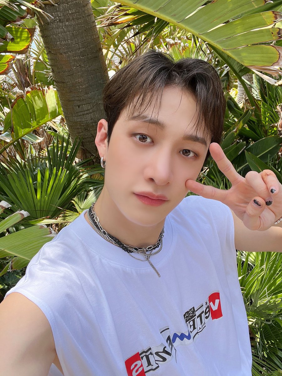 beyondyasmin's tweet photo. -nature buddies 🍃🪷🪴-

{#StaySelcaDay #SSD #BangChan #스트레이키즈 #StrayKids @Stray_Kids} https://t.co/qtIrChTGDw