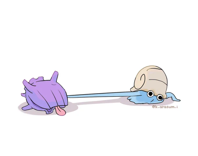オムナイト 