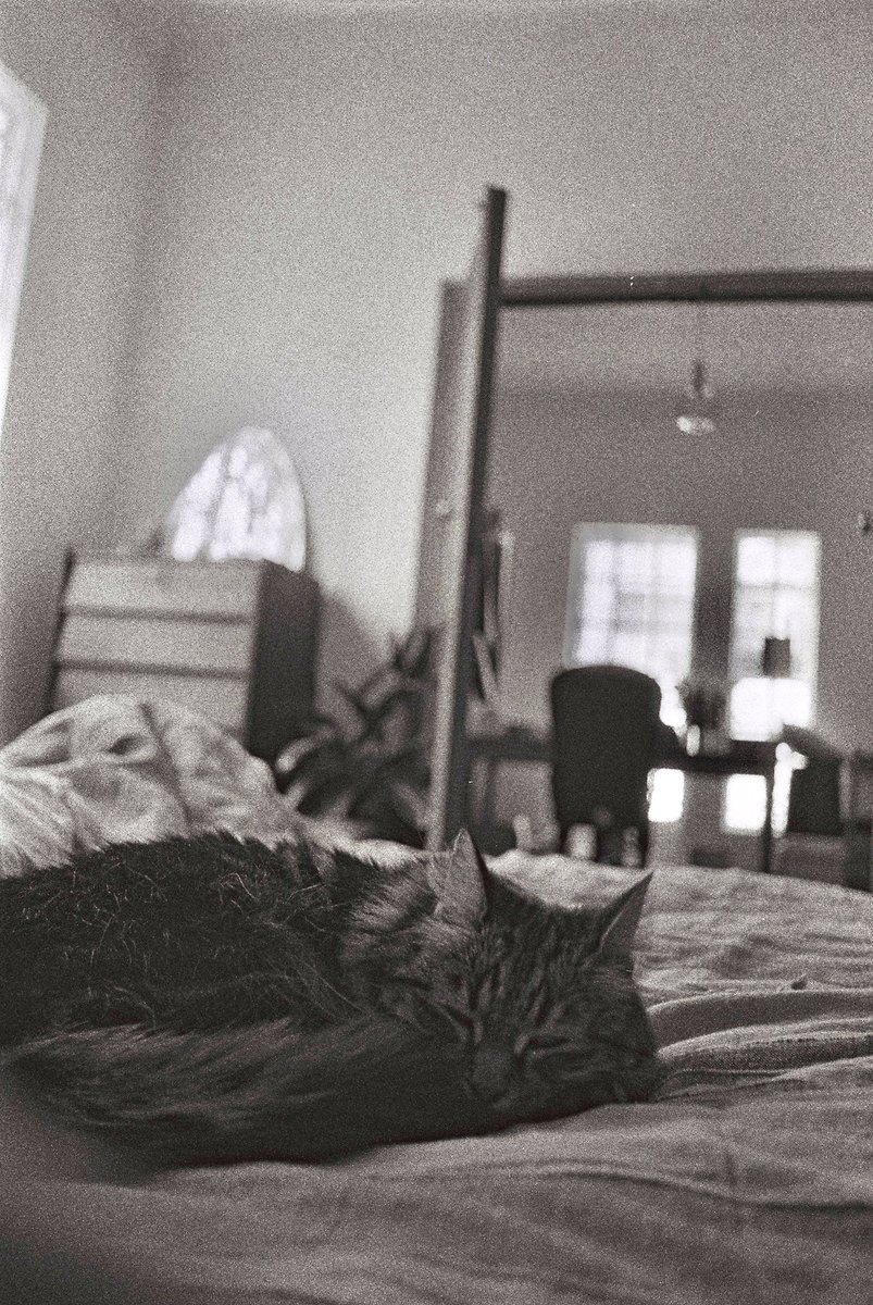 easyyoke's tweet photo. #ilforddelta3200 #fujicolor200 #pentaxlx #35mm #filmisnotdead #35mmfilmphoto #filmcommunity #filmforever #filmphoto
#ilford https://t.co/AOVi3o2bah