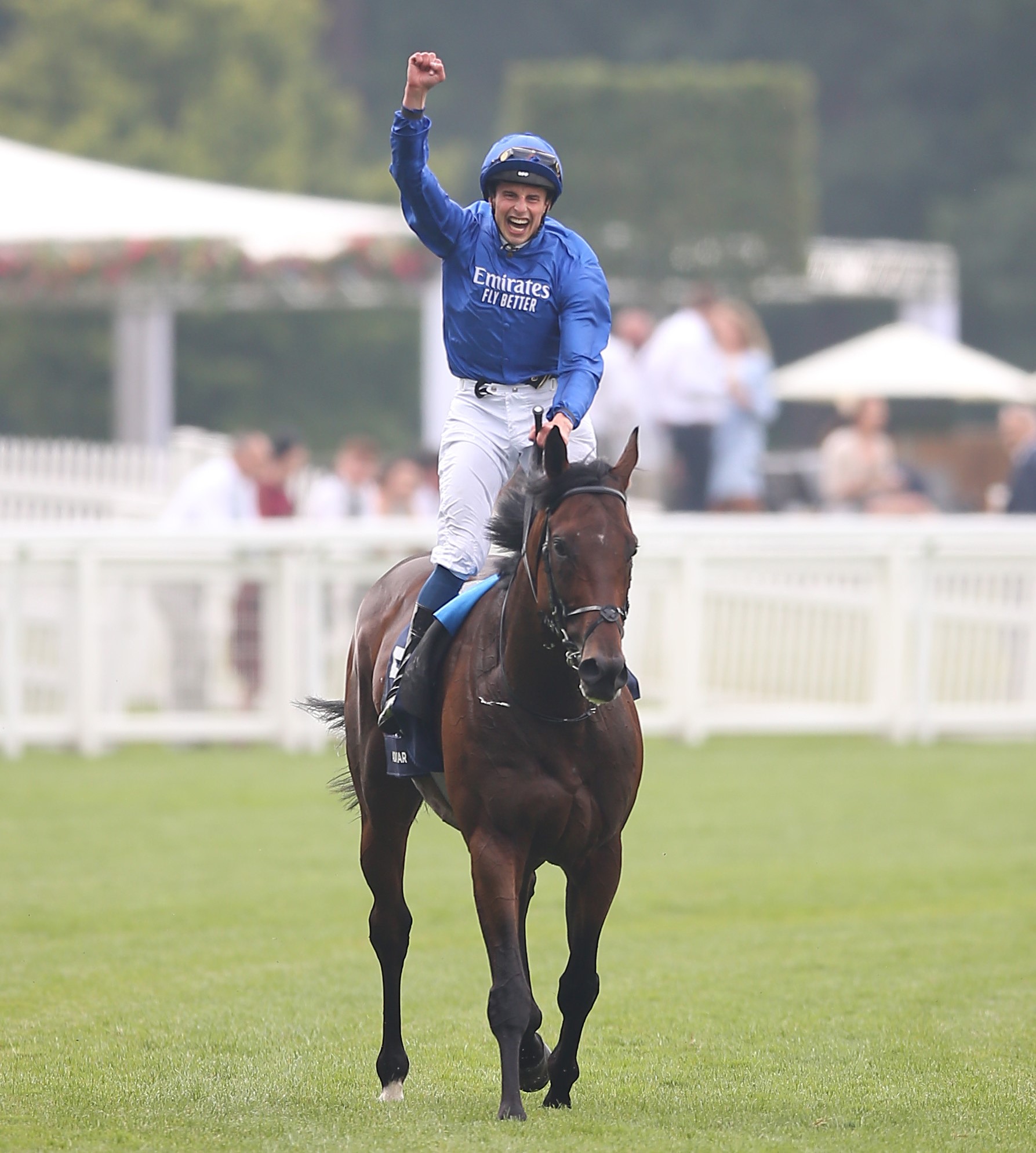 At The Races on Twitter "Adayar, Hurricane Lane, Verry Elleegant and