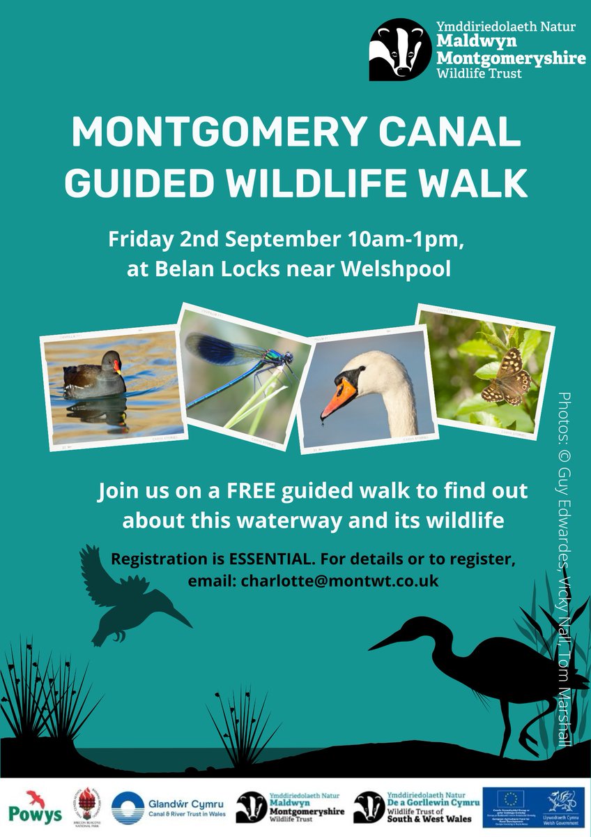 MontWildlife's tweet photo. Nature lovers won’t want to miss our next (and last for 2022😭) FREE guided wildlife walk 🐾🐸🦔🌳 along the #MontgomeryCanal on Friday 2nd September at 10am. Find out more and register 👇https://t.co/td04AgZdOW
#RuralNetworks #Welshpool #LoveWildlife https://t.co/PrVVw4kbbH