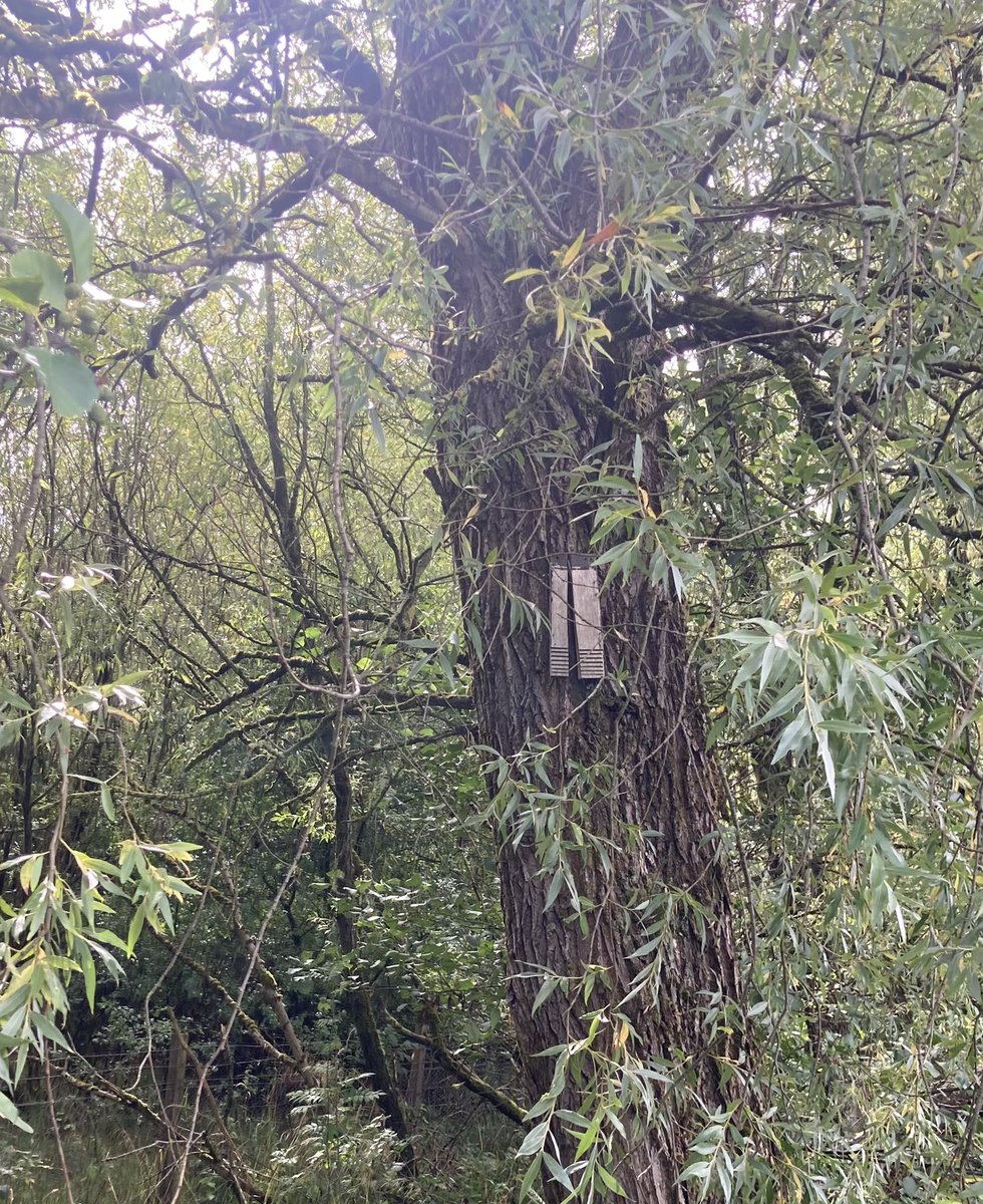 ColFras's tweet photo. Voting is now open for a range of nature improvement projects across North Lanarkshire.

Please take five minutes to vote for the Gartcosh Nature Reserve conservation project which includes replacement bird and bat boxes.

https://t.co/iFCSCp0GjP

#Gartcosh #Nature #wildlife https://t.co/2SRX2VG862