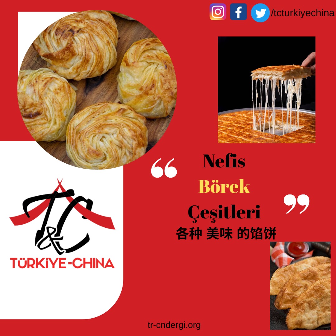 T&C Türkiye China (@tcturkiyechina) on Twitter photo 