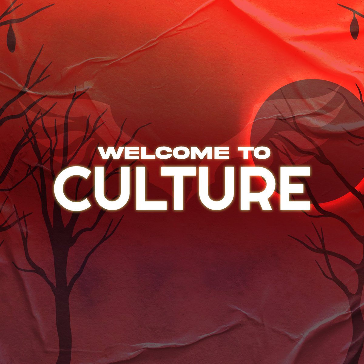 Angel Culture tweet media