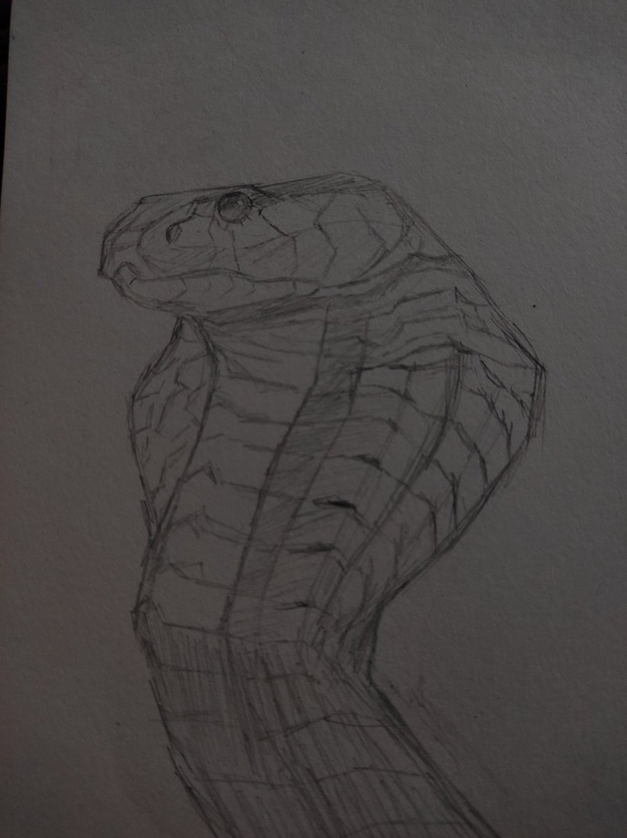 ParuPlayz's tweet photo. Snakeyyyy... https://t.co/6GL6mZCYKM