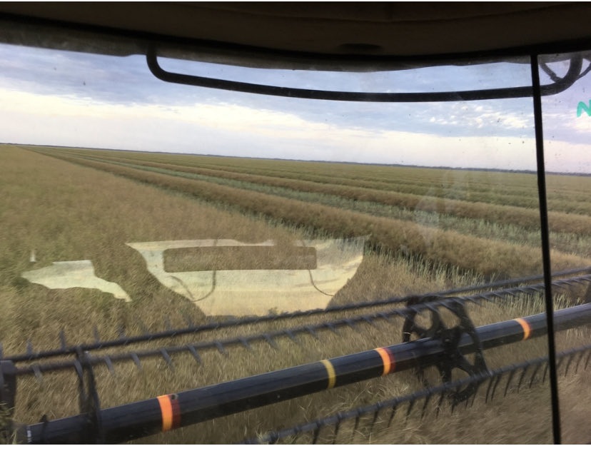 Mitch Pollock tweet media