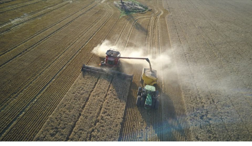 We are looking for a full time worker on our farm/contracting business.