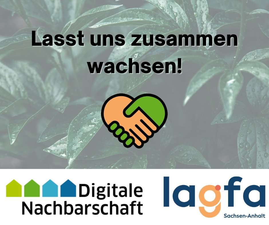 EngagementLSA's tweet photo. Es gibt ein neues Projekt: #EngagementDigital in Sachsen-Anhalt
Schreibt uns gerne, wenn ihr euren Verein digitalisieren wollt oder schaut euch ein paar #Tipps zum Thema an. ➡️ https://t.co/4xZByx9XXm https://t.co/N6azTmwyo3