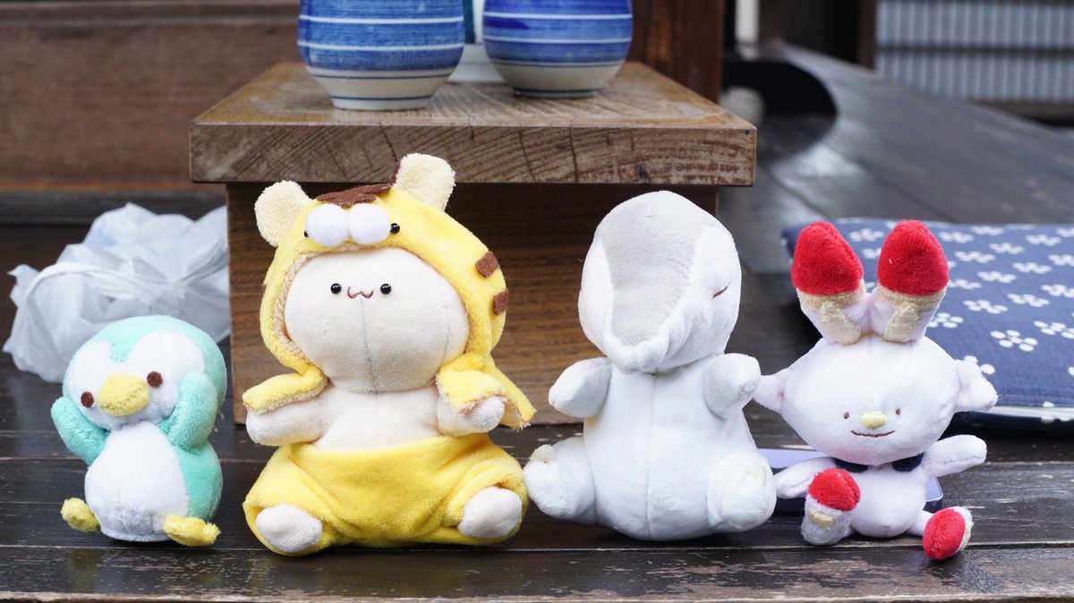 _bo8od_'s tweet photo. #8月の終わりにあなたの作品見せてください

好きな色でポケモンぬいだったりを作っています=͟͟͞͞◓ https://t.co/tGCYNy3wdT