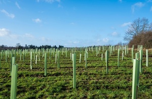 UKReforestation's tweet photo. A big funding boost could see over 2000 hectares of new woodland created on farms and estates this year

#woodlandcreation, #reforestation, #ecosystemservices, #biodiversity

https://t.co/Cfk3JkIeno https://t.co/rvWQwL9UV1
