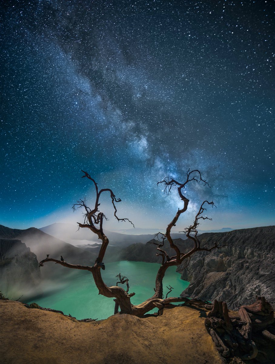 I'll probably go buy some more photography today, like this outstanding work from <a href="/CrisMagsino2021/">Cris Magsino</a>.. I got it 4 months ago on OS together with <a href="/mbstuart/">Mike Stuart (stustustudio)</a> @CHoibergPhoto <a href="/HChipNFT/">HChip</a> <a href="/zachlipp/">Zach Lipp</a> <a href="/MeLlamoMatt/">MeLlamoMattᵍᵐ</a> and <a href="/AlphaTrilogy/">AlphaTrilogy</a>. Slowly but steadily floor rose 2.5 times.