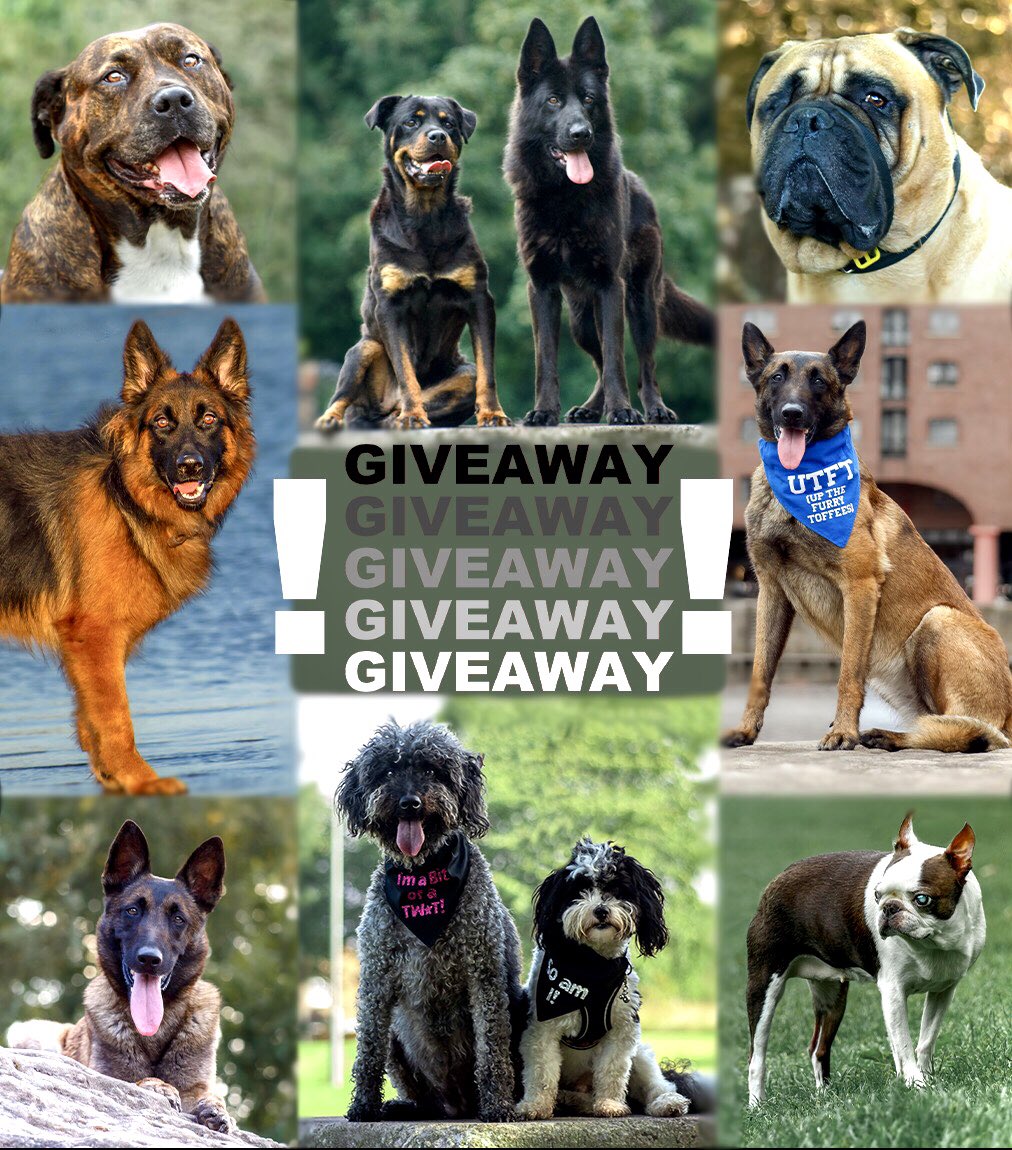 MaliMyra's tweet photo. 🚨GIVEAWAY🚨 

Win a FREE photoshoot for your pet 🤩

https://t.co/xt1F1wk7Ci https://t.co/v20bqh1XRb