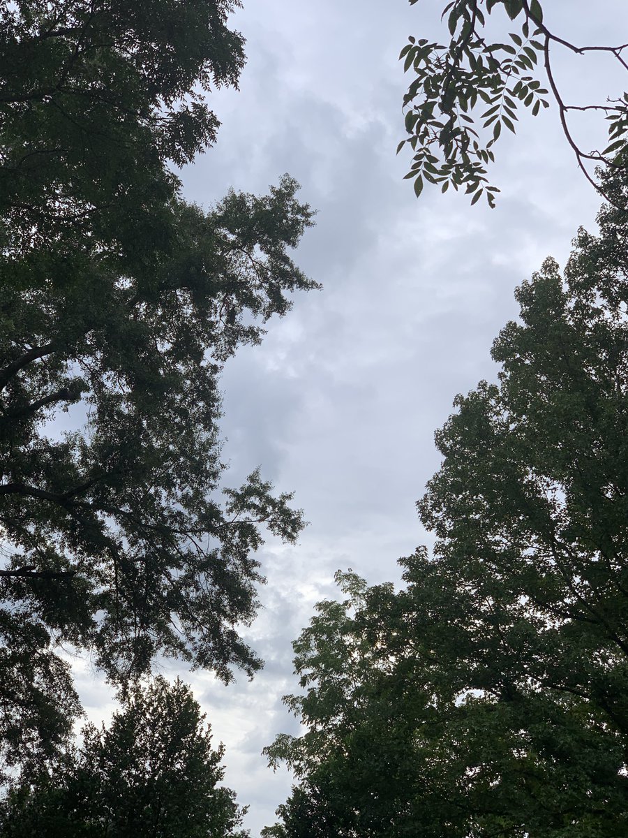 okamoto_sandra's tweet photo. Good morning, Columbus! Deja vu. #ColumbusGA #mydailyphoto #08/24/2022 #2022project #completelycloudy #nosignofsunormoon #60%chanceofrainforecast #coolish #veryhumid #nobreeze #birdssubdued #cicadasloud #neighborsdogsbarking https://t.co/38a1AezCg0