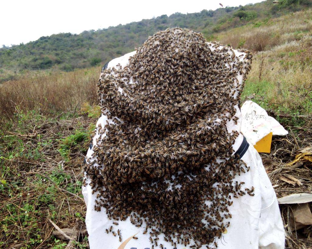 umurame_honey's tweet photo. We Beekeepers, were happy to bee part of this powerful agroecology movement engene. We Bee-long together @YaltaInitiative and @3Mountains__ mountains. Happy to learn entrepreneurship for #Agroecology https://t.co/CQ40cYHAVM