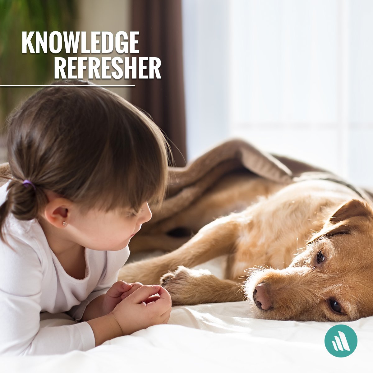 Merck Vet Manual on Twitter "The U.S. Centers for Disease Control and