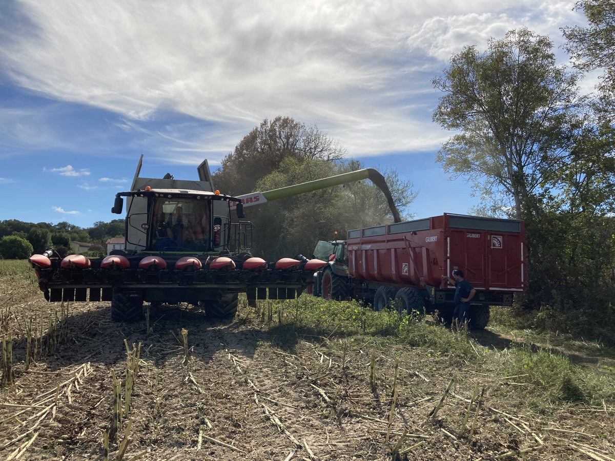 Flavien COULBAULT (@flavienclblt) on Twitter photo Début des récoltes avec un essai #tournesol à LACAJUNTE (40) 🌻
Et ça commence plutôt bien :
🥇MAS 815.OL : 1er avec 38,8 qtx
Un hybride qui confirme sa capacité à aller chercher du potentiel !💪
<a href="/MASseedsfrance/">MAS Seeds France</a> <a href="/Maisadour/">Maïsadour</a> <a href="/terresinovia/">Terres Inovia</a> <a href="/FopProducteurs/">FOP</a> Début des récoltes avec un essai #tournesol à LACAJUNTE (40) 🌻
Et ça commence plutôt bien :
🥇MAS 815.OL : 1er avec 38,8 qtx
Un hybride qui confirme sa capacité à aller chercher du potentiel !💪
<a href="/MASseedsfrance/">MAS Seeds France</a> <a href="/Maisadour/">Maïsadour</a> <a href="/terresinovia/">Terres Inovia</a> <a href="/FopProducteurs/">FOP</a>