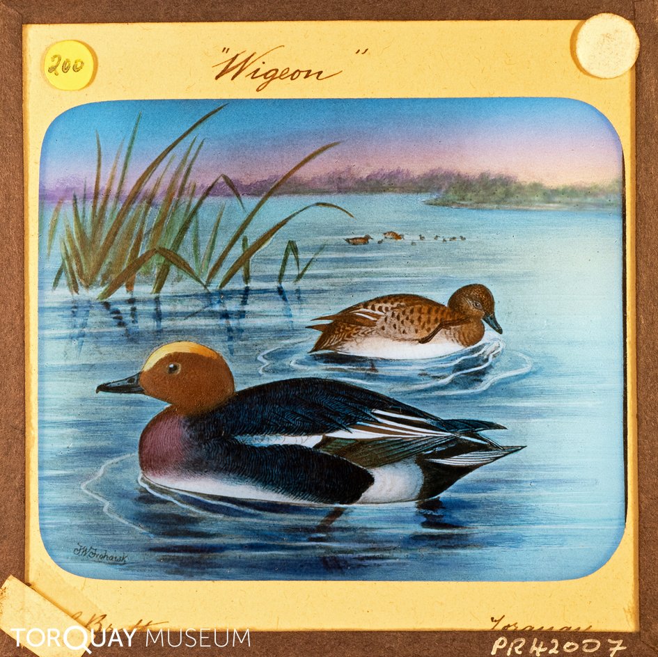 TorquayMuseum's tweet photo. Our lantern slide project is near its completion and these are some of the last slides we've been working on. We will tell you about our plans for the next project soon! #DigitalArchives #lanternslides #picoftheday #fortheloveofarchives #digitisation https://t.co/j0v2HGYApI
