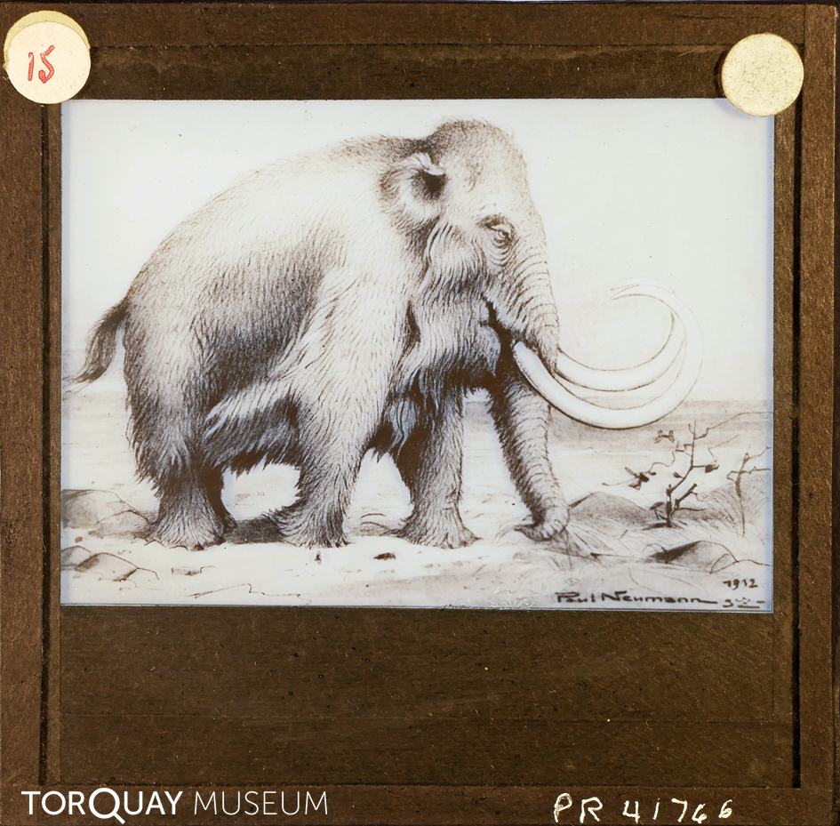 TorquayMuseum's tweet photo. Our lantern slide project is near its completion and these are some of the last slides we've been working on. We will tell you about our plans for the next project soon! #DigitalArchives #lanternslides #picoftheday #fortheloveofarchives #digitisation https://t.co/j0v2HGYApI