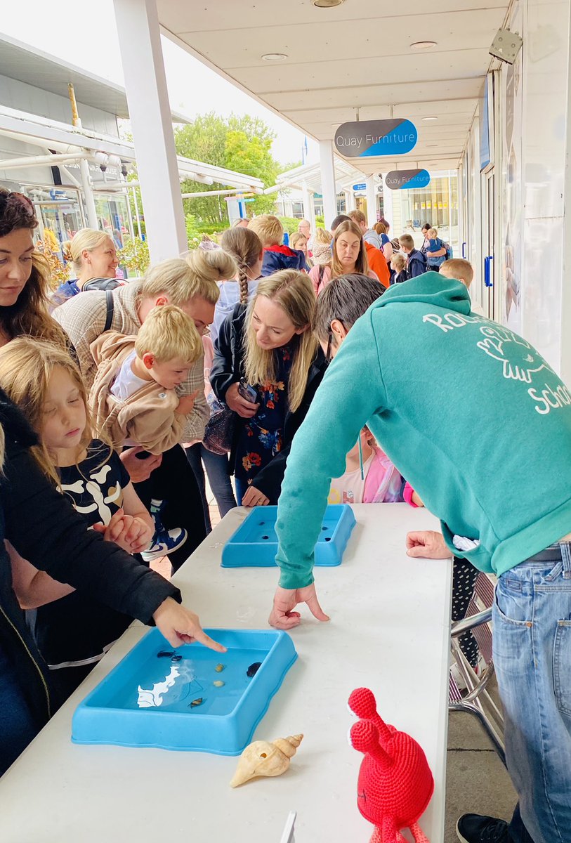 Rockpoolschool1's tweet photo. WOW!! What another absolutely fabulous day we have just had at Royal Quays Outlet and Independent Centre meeting you all 🦀 @RoyalQuaysCtr 

Absolutely overwhelmed with how many of you turned up again to meet all our little friends 🥰.

Thanks so much for all your patience 💙 https://t.co/ku9pDZcxTk