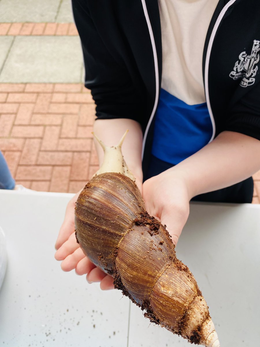 Rockpoolschool1's tweet photo. WOW!! What another absolutely fabulous day we have just had at Royal Quays Outlet and Independent Centre meeting you all 🦀 @RoyalQuaysCtr 

Absolutely overwhelmed with how many of you turned up again to meet all our little friends 🥰.

Thanks so much for all your patience 💙 https://t.co/ku9pDZcxTk