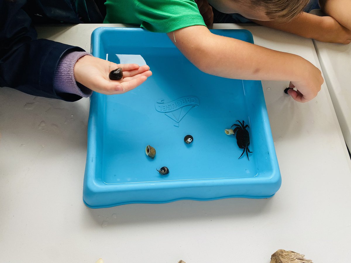 Rockpoolschool1's tweet photo. WOW!! What another absolutely fabulous day we have just had at Royal Quays Outlet and Independent Centre meeting you all 🦀 @RoyalQuaysCtr 

Absolutely overwhelmed with how many of you turned up again to meet all our little friends 🥰.

Thanks so much for all your patience 💙 https://t.co/ku9pDZcxTk