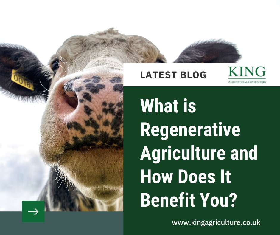 What is Regenerative Agriculture and How Does It Benefit You?

There are three basic principles to regenerative and conservation agriculture:

🟢 Minimise soil disturbance
🟢 Keep the soil covered year round
🟢 Have a diverse rotation