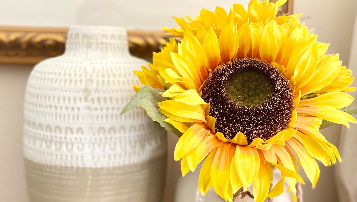 SonjaBarisic's tweet photo. When your mom sends you a present for your birthday and it's on brand.🌻
#sunflowers #publicrelationspro #writer https://t.co/8scHsiqJ6C