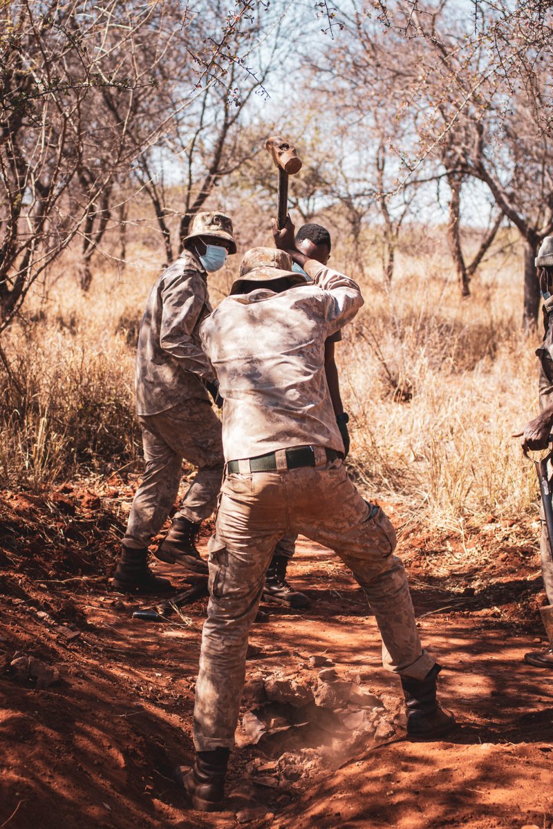 ICORP_Africa's tweet photo. The diverse job of a job: protecting flaura & fauna, monitor animals, counter poaching, egineering, being a teacher, a manager and many more.
#antipoaching #icorp #conservation #counterpoaching #nature #ranger #rangerlife #wildlifewarr #meetsouthafrica #southafrica https://t.co/kRtmHPzRDY