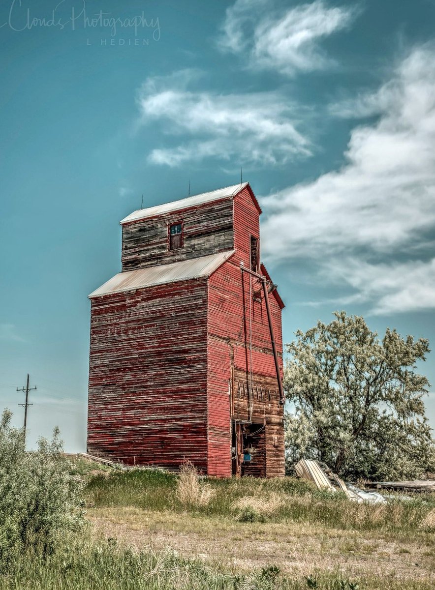 An #abandoned #grainelevator in #Saskatchewan #Canada🌾 📷 in June. #photography #nikonusa #zcreators #thephotohour #natgeoyourshot #z9 #trub_rural #trb_rurex  #epic_captures @raw_abandoned @backroad_visions #decay #forgotten #abandonedplaces #abandonedphotography #nikonoutdoors