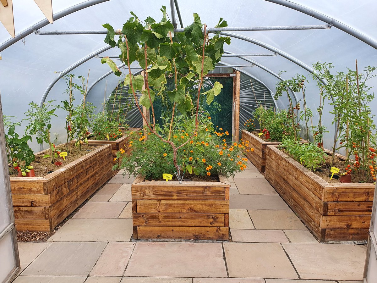 faiths4change's tweet image. Such a special day for the @livfoodgrowers gardeners... welcoming neighbours at The Secret Garden and celebrating the hard work of the volunteers at @lasalle_hotel garden 🍅🌱  well done! 👏
Get involved! rachel@faiths4change.org.uk/ 07715 087655 
#communitygarden
#GrowWestderby