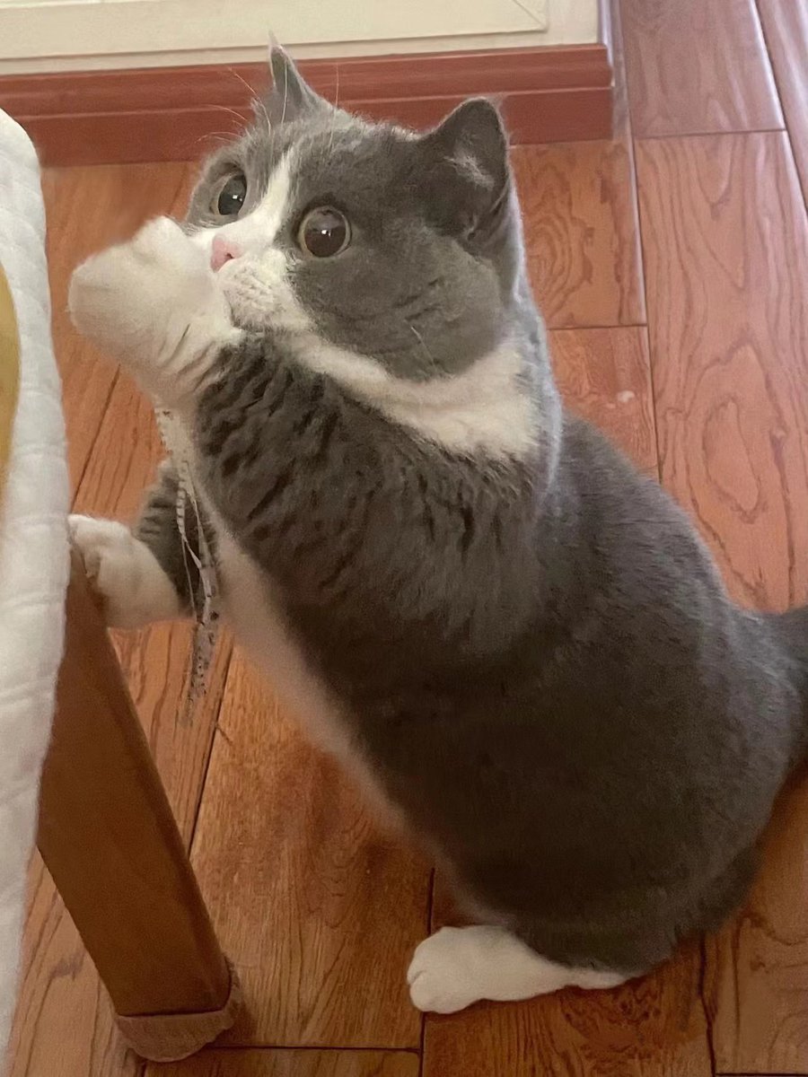 put 'er there pardner!