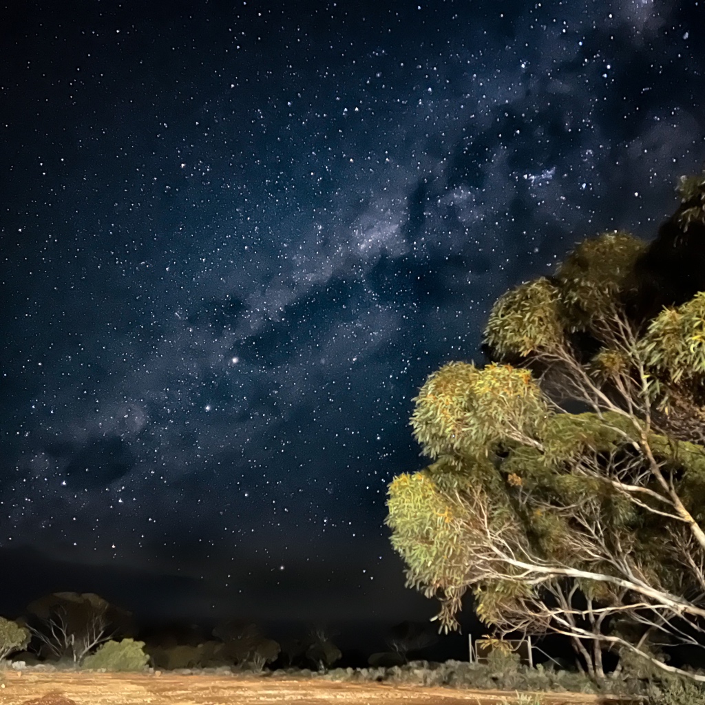 My first serious attempt at astrophotography. Taken in the Nullarbor. ‘The Emu pecks at the Southern Cross’.